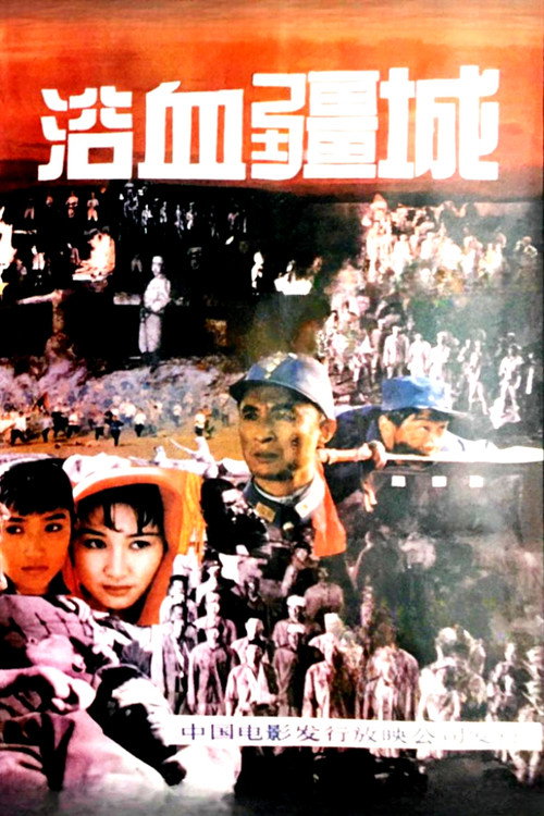 浴血疆城 封面