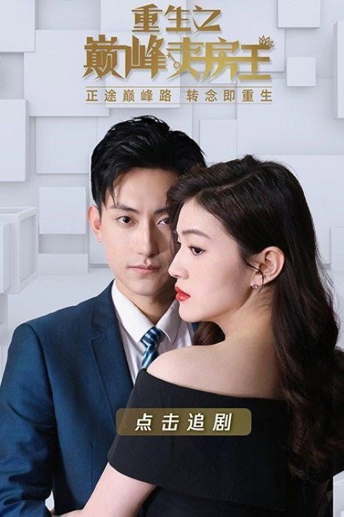 重生之巅峰卖房王 封面