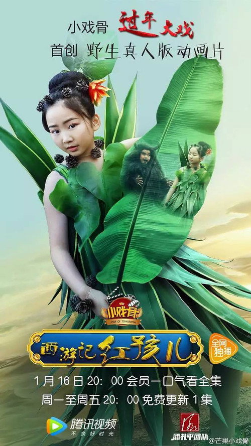 小戏骨:西游记 封面