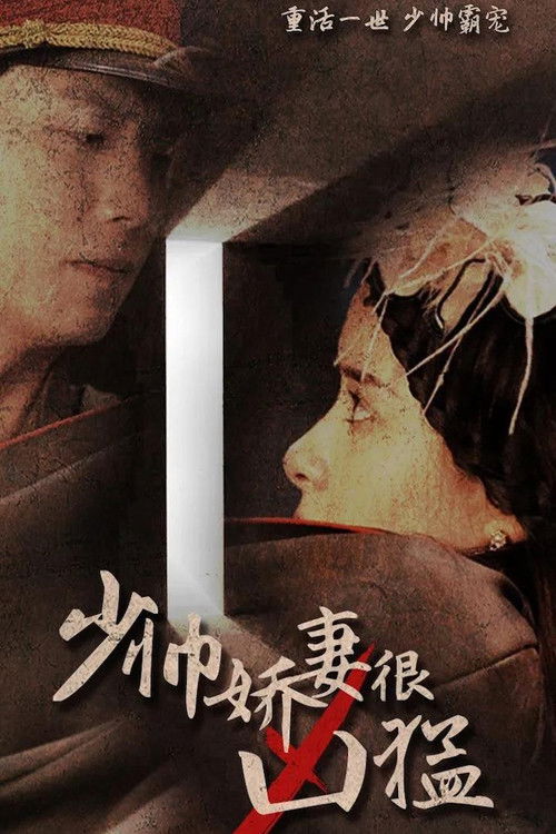 少帅娇妻很凶猛 封面