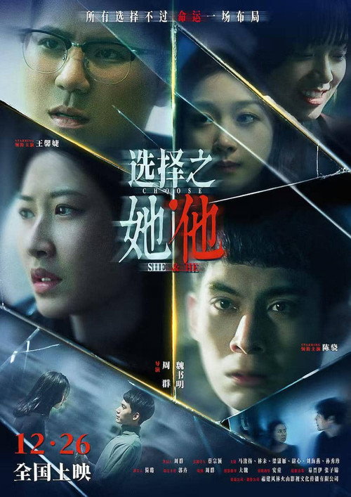 选择之她·他 封面