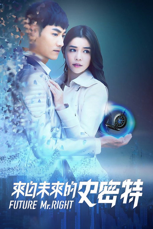 来自未来的史密特 封面