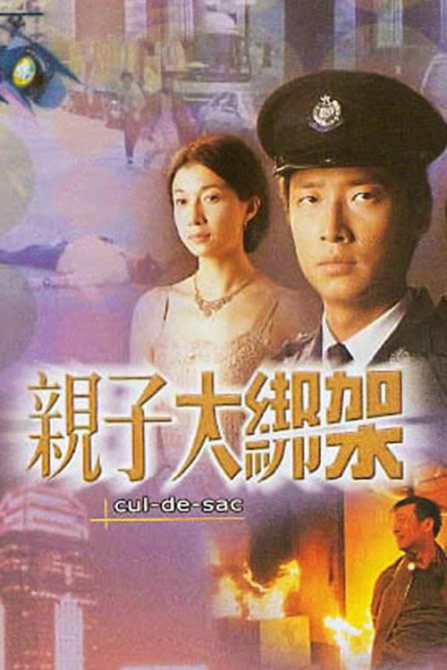 亲子大绑架 封面