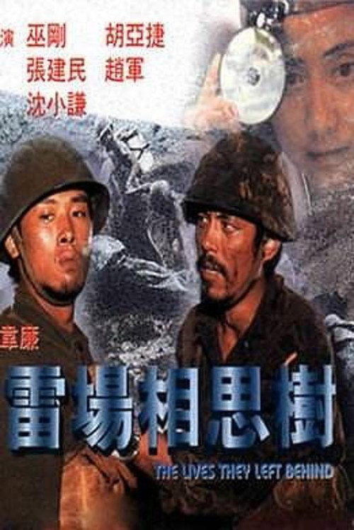 雷场相思树 封面