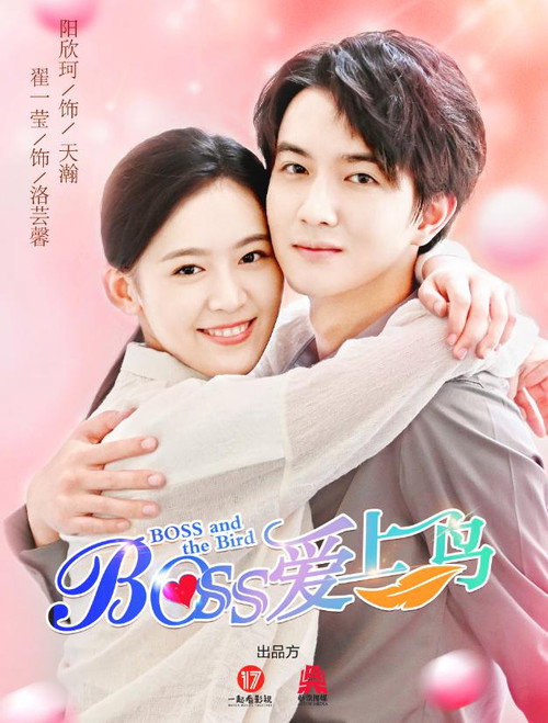 Boss爱上鸟 封面