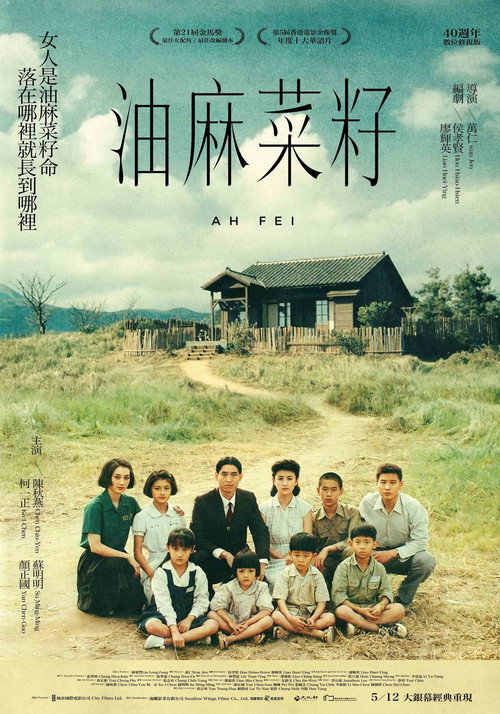 油麻菜籽 封面