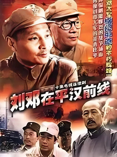 刘邓在平汉线 封面
