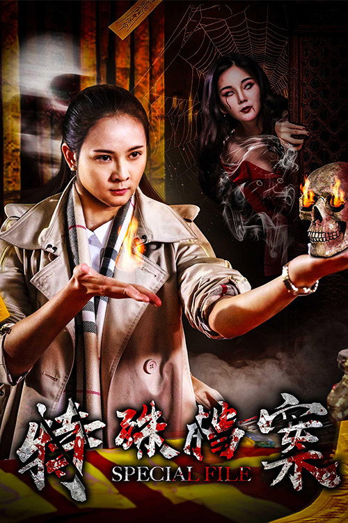 特殊档案 封面