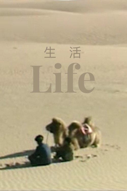 生活 封面