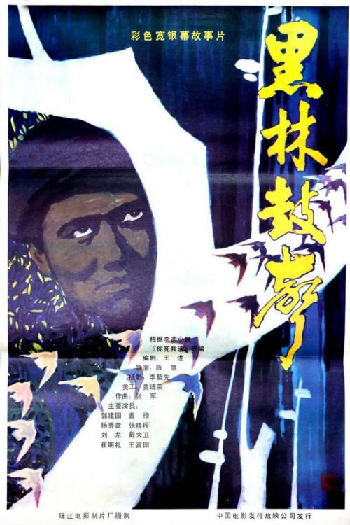 黑林鼓声 封面