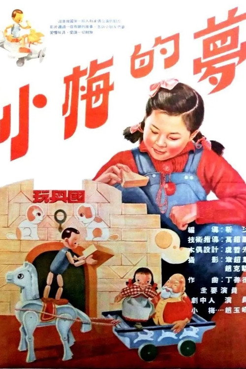 小梅的梦 封面