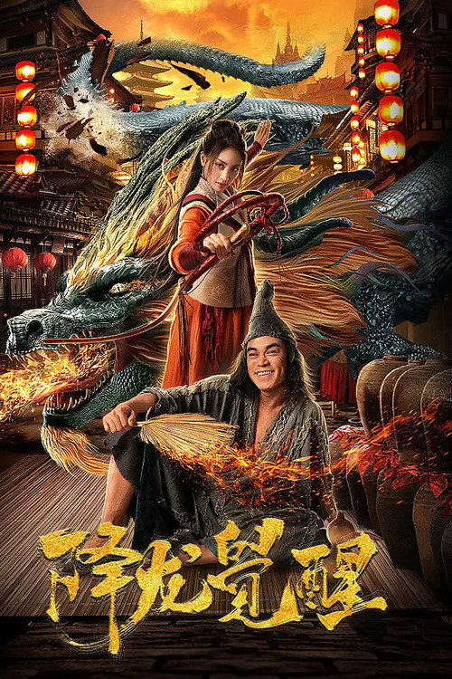降龙觉醒 封面