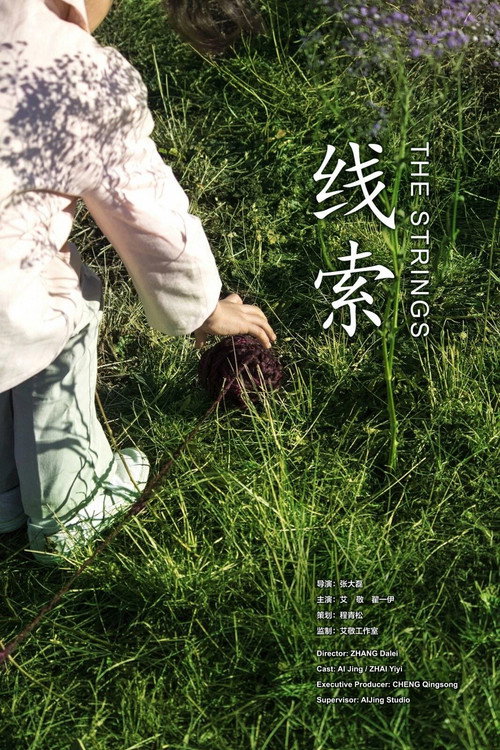 线索 封面