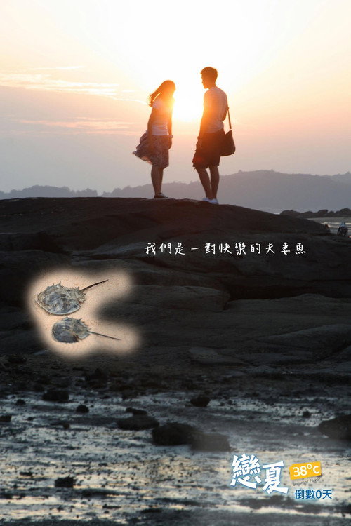 恋夏38℃ 封面