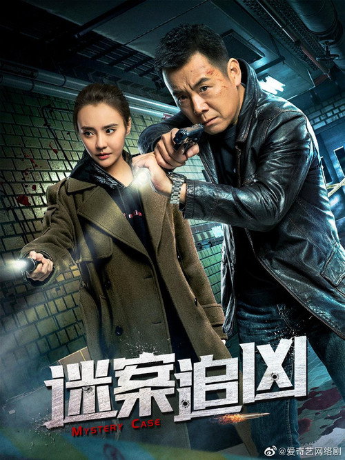 迷案追凶 封面