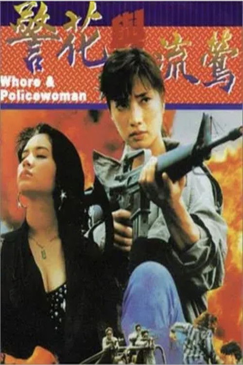 警花与流莺 封面