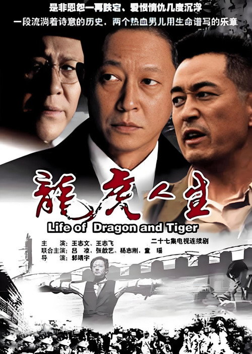 龙虎人生 封面