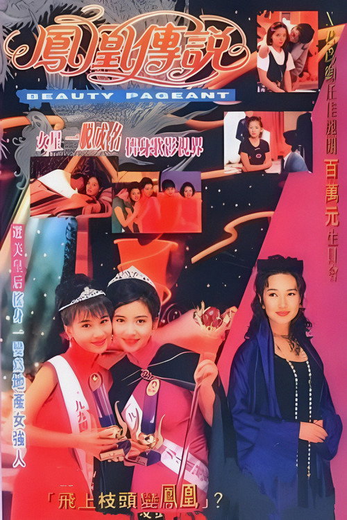 凤凰传说 封面