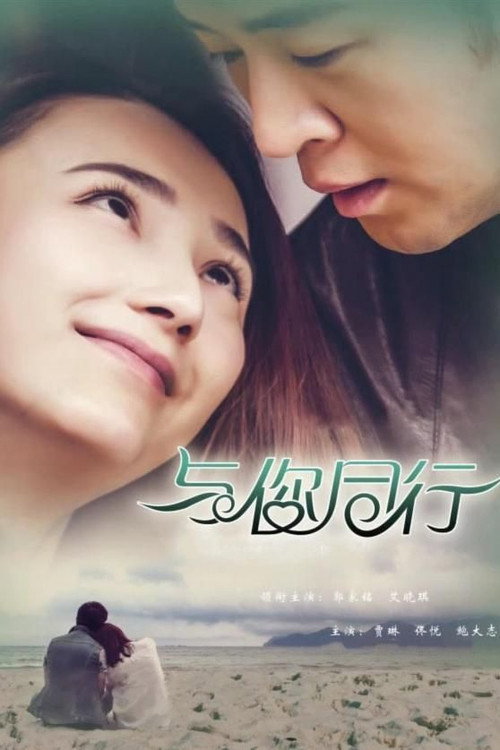 与你同行 封面