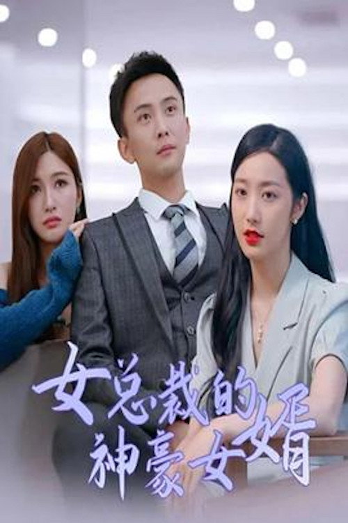 女总裁的神豪女婿 封面