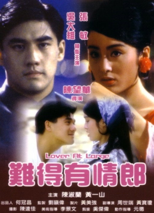 难得有情郎 封面