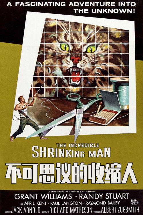 不可思议的收缩人 封面