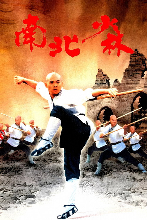 南北少林 封面