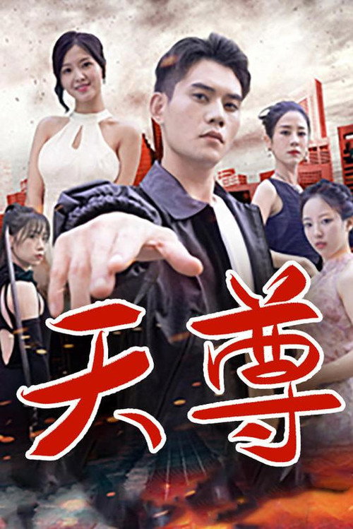 天尊 封面