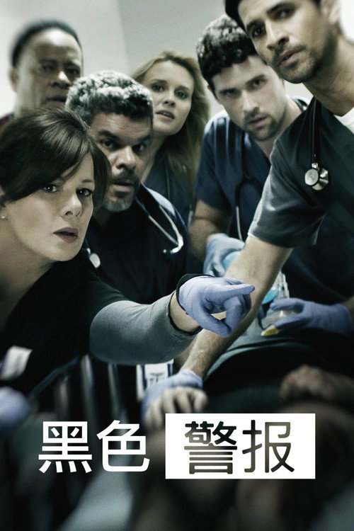 黑色警报 封面