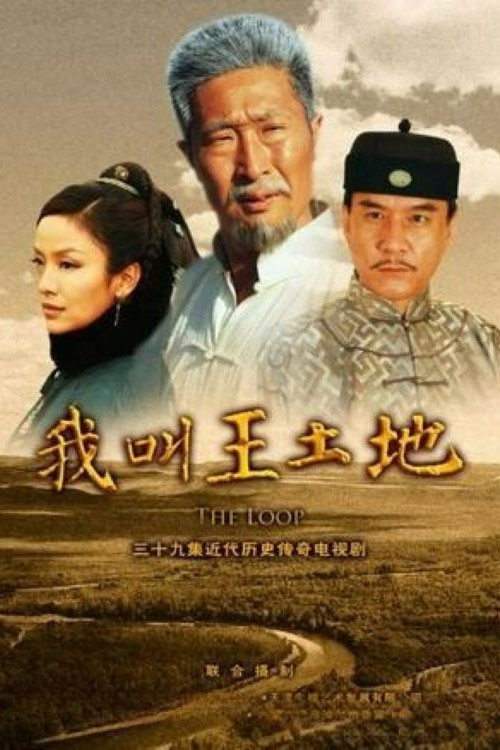 我叫王土地 封面