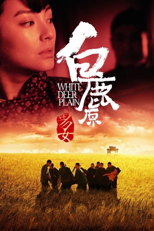 白鹿原 封面