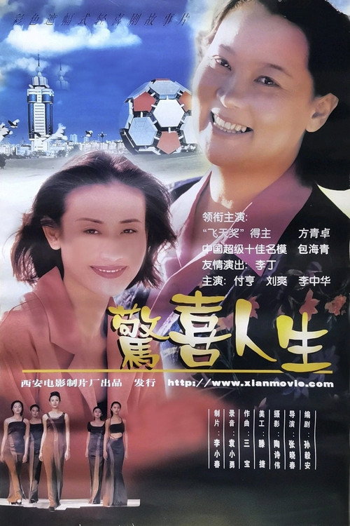 惊喜人生 封面