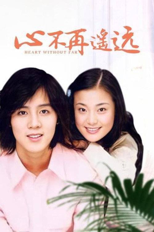 心不再遥远 封面