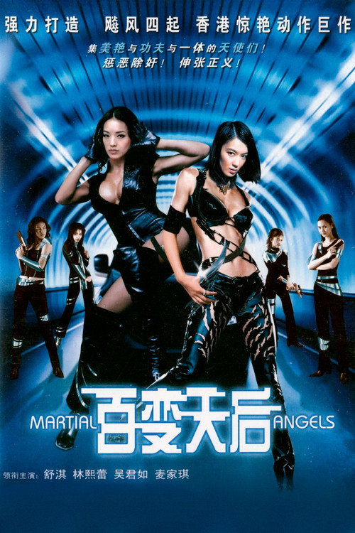 绝色神偷 封面