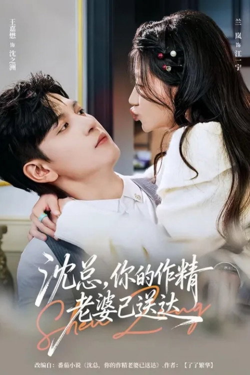 沈总,你的作精老婆已送达 封面
