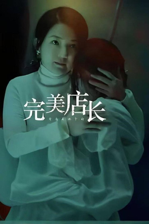 完美店长 封面