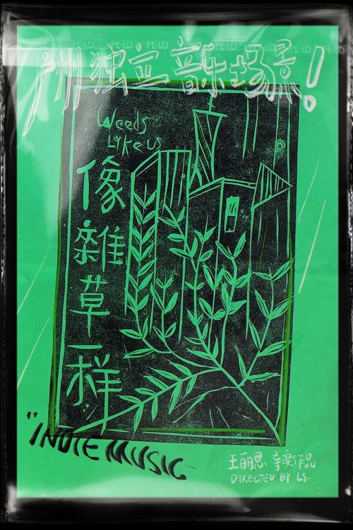像杂草一样 封面
