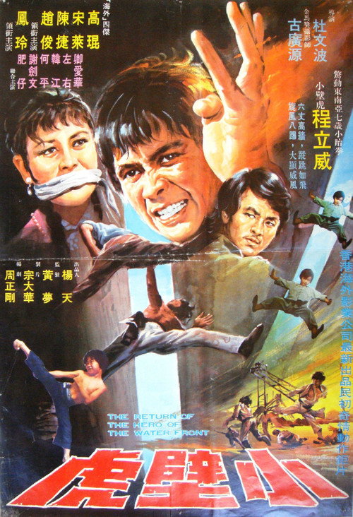 小壁虎 封面