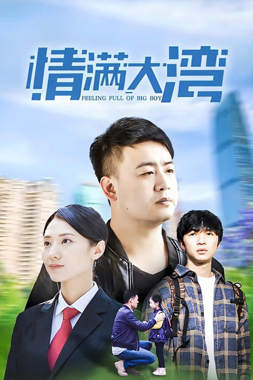 情满大湾 封面