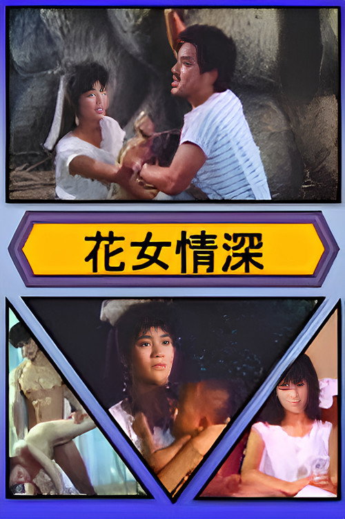 花女情深 封面