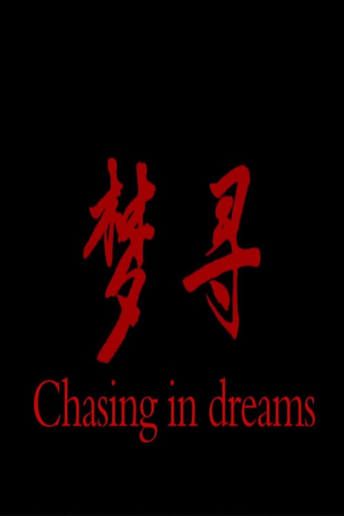 梦寻 封面