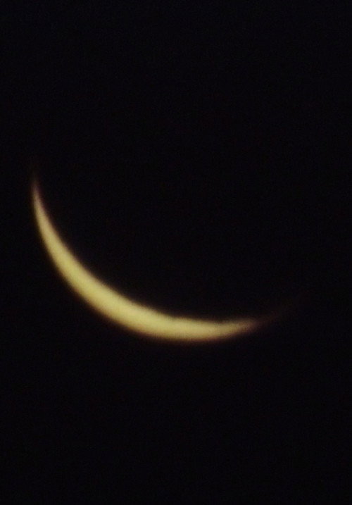 The Moon 封面