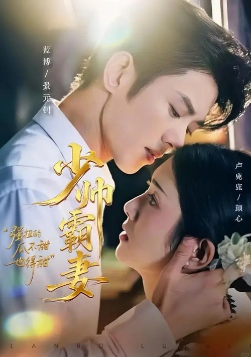 少帅霸妻,强扭的瓜不甜也得甜 封面