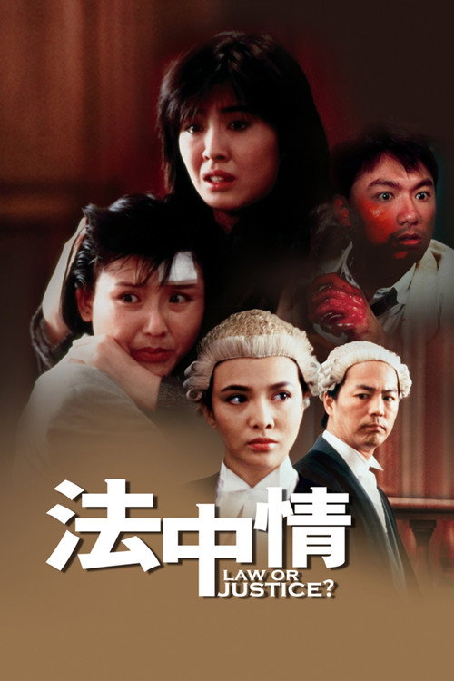 法中情 封面