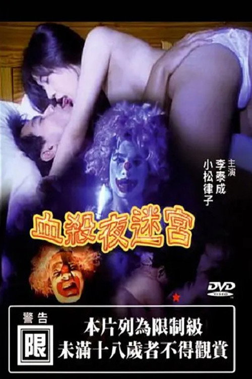 血杀夜迷宫 封面