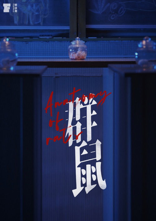 群鼠 封面