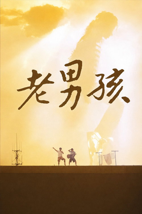 11度青春之老男孩 封面