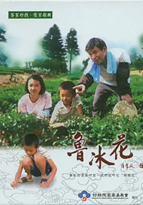 鲁冰花 封面