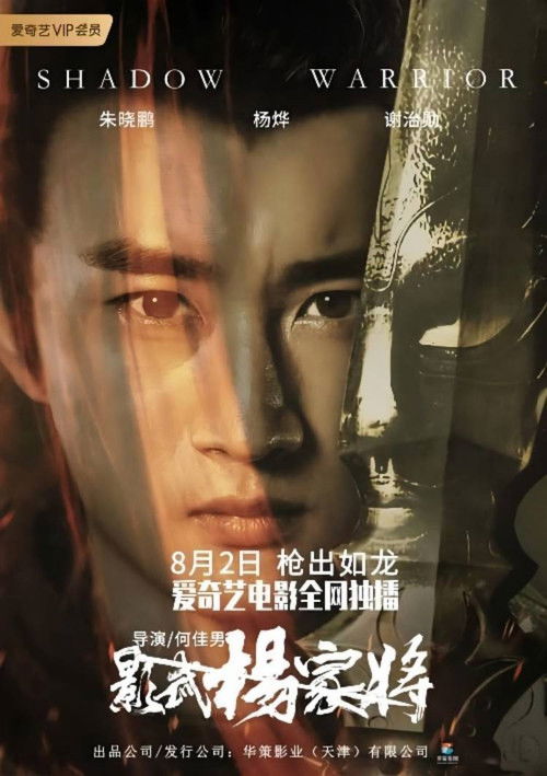 影武杨家将 封面