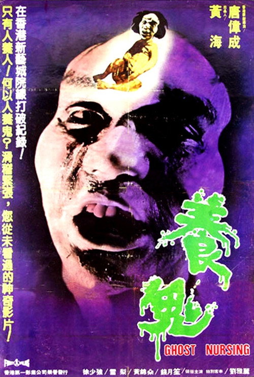 养鬼 封面